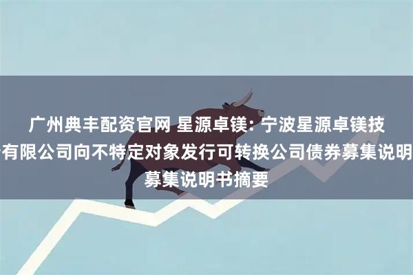 广州典丰配资官网 星源卓镁: 宁波星源卓镁技术股份有限公司向不特定对象发行可转换公司债券募集说明书摘要