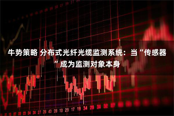 牛势策略 分布式光纤光缆监测系统：当“传感器”成为监测对象本身