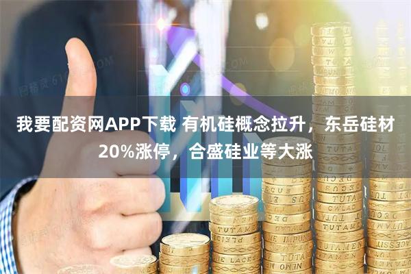 我要配资网APP下载 有机硅概念拉升，东岳硅材20%涨停，合盛硅业等大涨